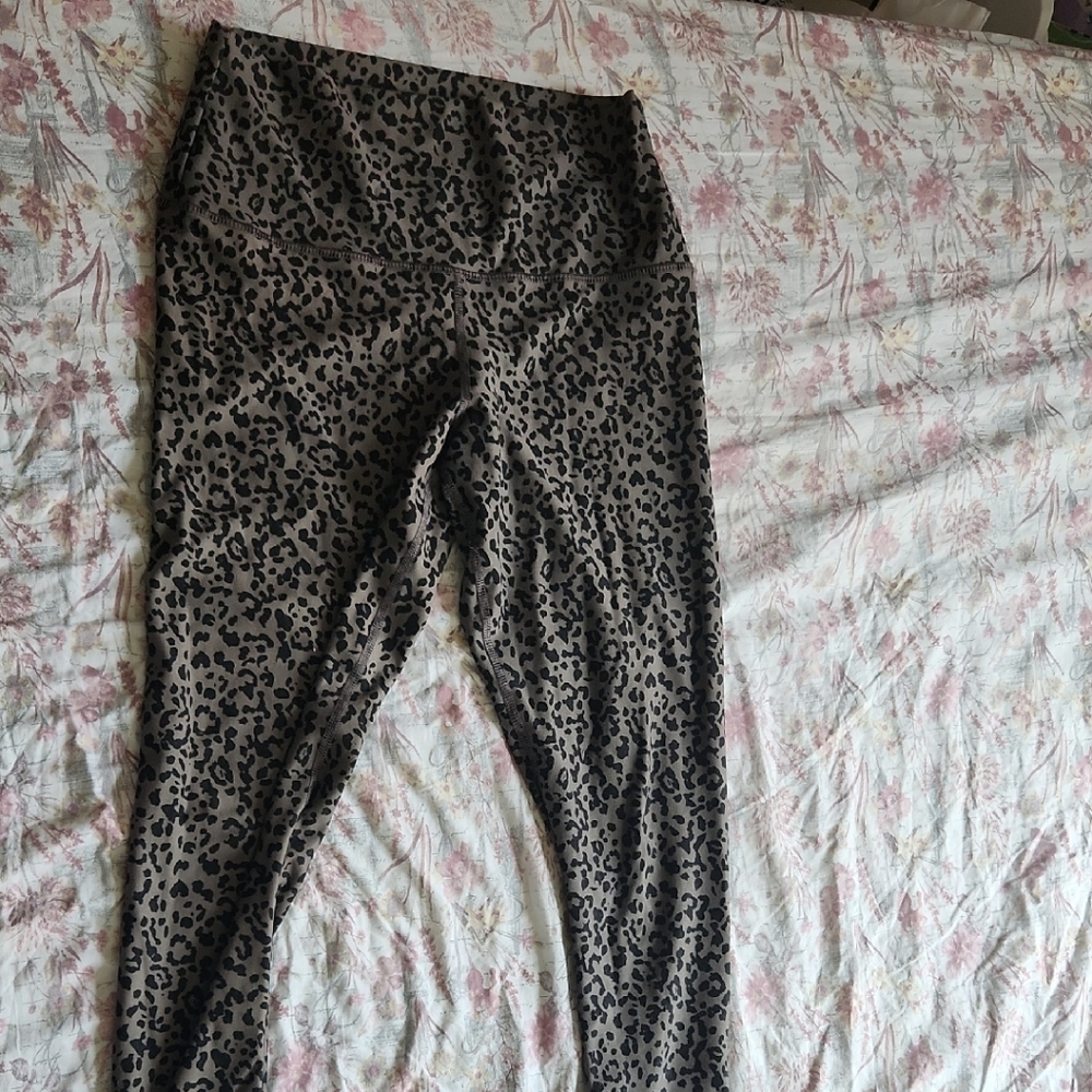 Evolution and Creation Black and Tan Leggings High Waist Stretch